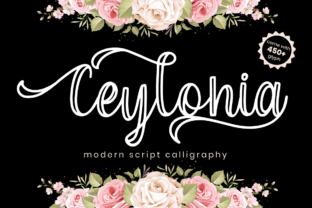 Ceylonia: A Handwritten Font That Makes Campaign Visuals Clearer