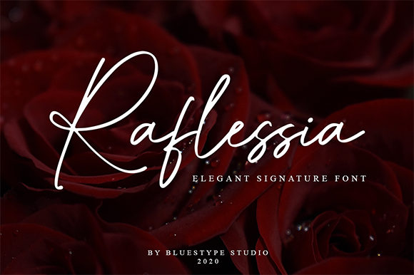Raflessia Typeface Review: A Web Designer’s Digital Test Drive