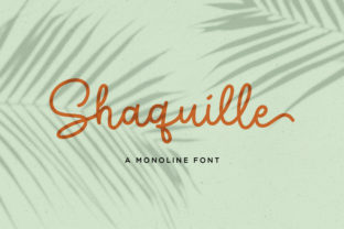 Shaquille: A Script Font Built for Modern Web Design