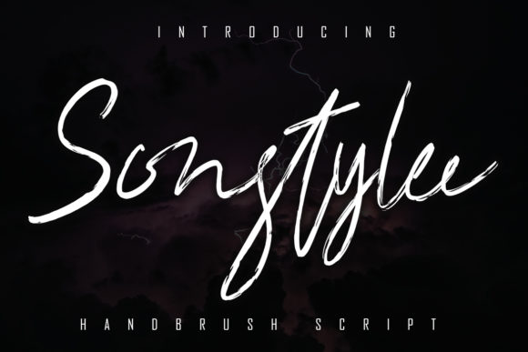 Sonstylee: A Handwritten Font for Modern Campaigns